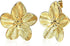 Gold Shell Earrings for Women, Beach Statement Earrings, Summer Sea Shell Jewelry, Elegant Vacation Gifts, Dainty Stud Earrings for Mother, Friend, Girlfriend (0.81 Inch)
